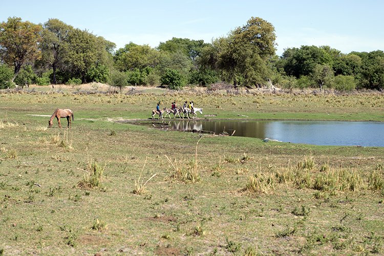 BWA NW OkavangoDelta 2016DEC01 Nguma 012
